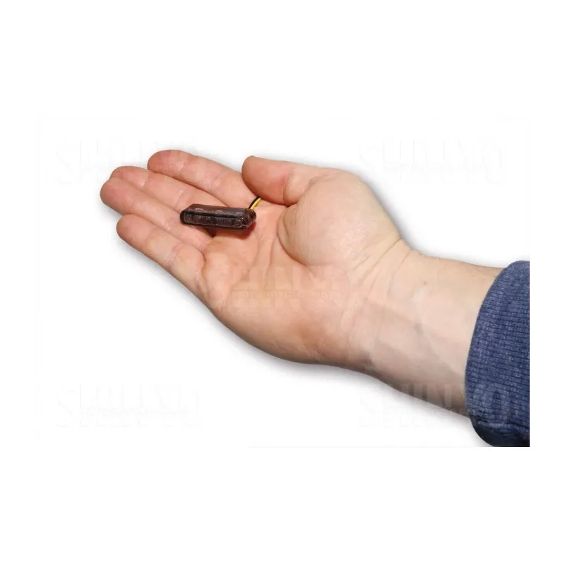 Clignotant moto Led Shorty 2