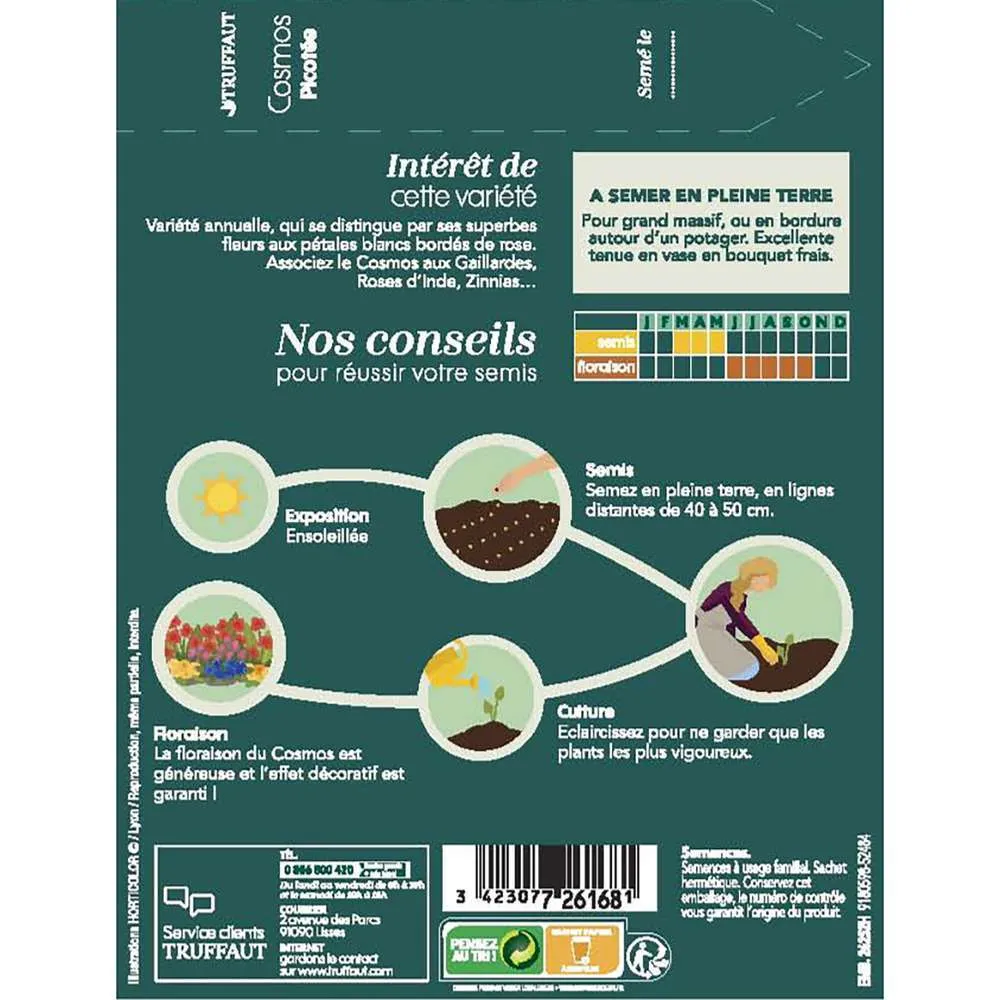 Cosmos picotée : En Sachet