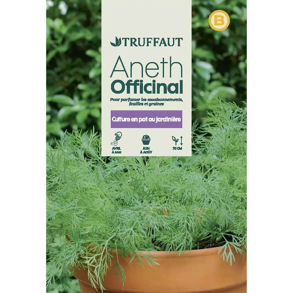 Graines d'aneth officinale en sachet