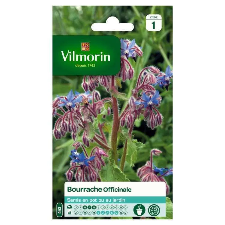 Graines de Bourrache Officinale en sachet en sachet