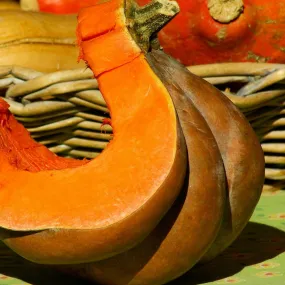 Graines de courge muscade - prix malin/[-]sachet