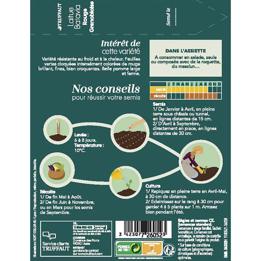 Graines de laitue Batavia rouge grenobloise en sachet