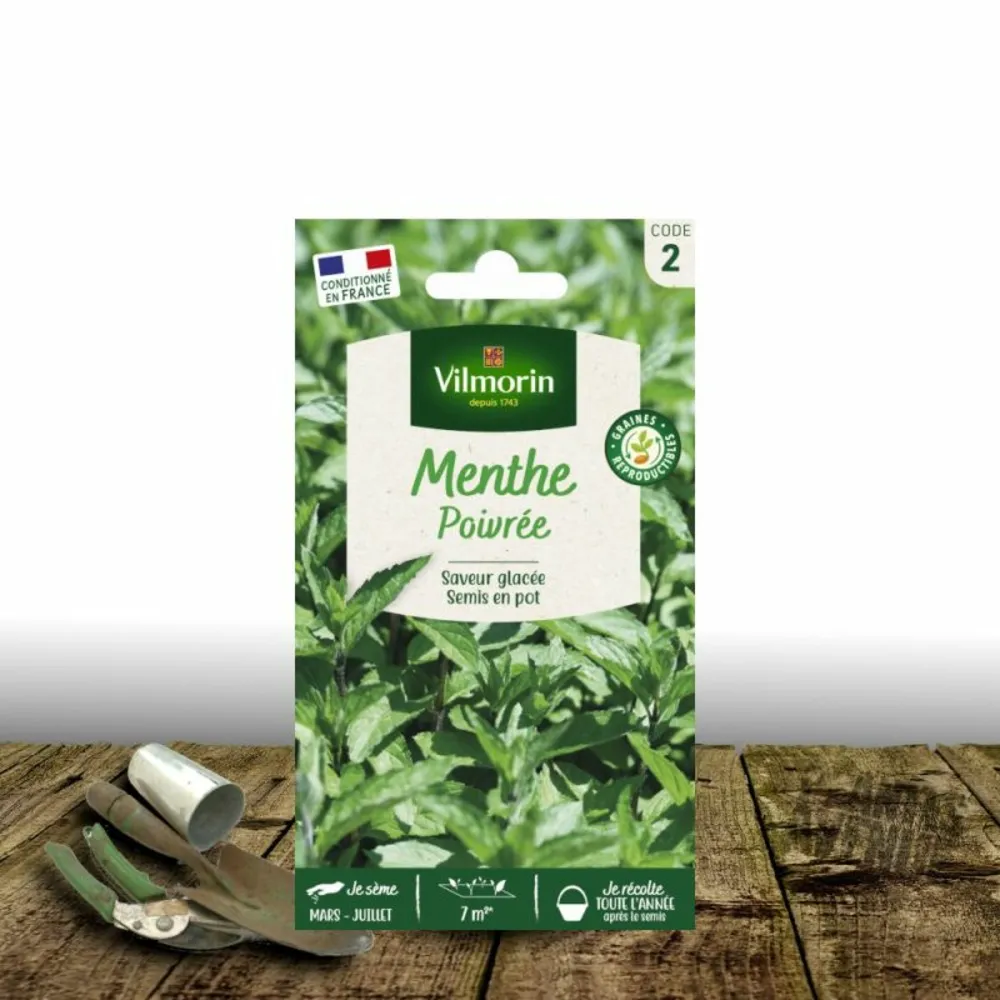 Graines de menthe poivrée - vilmorin/[-]sachet
