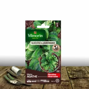 Graines de mâche agathe - vilmorin/[-]sachet