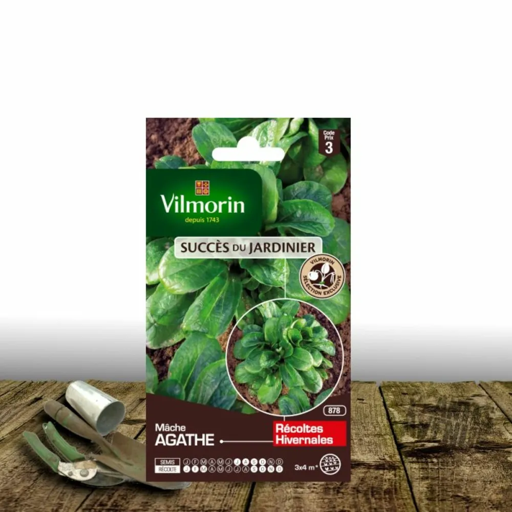 Graines de mâche agathe - vilmorin/[-]sachet
