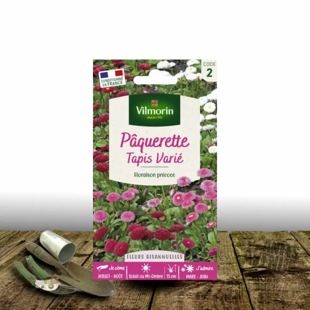 Graines de pâquerette tapis varié - vilmorin/[-]sachet