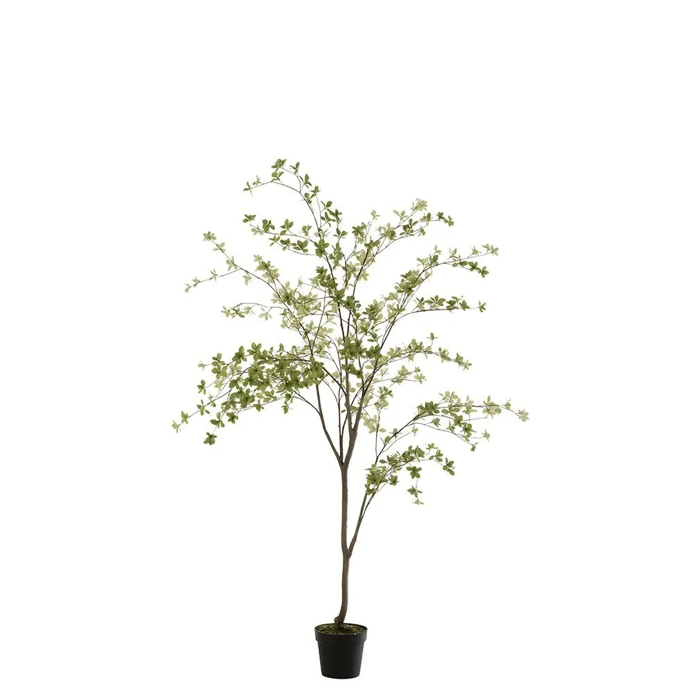 Plante fines feuilles plastique vert/noir