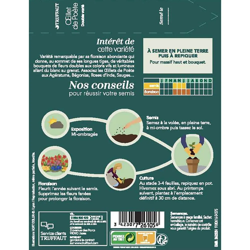 Œillet de poete Passionata double couleur variée : en sachet